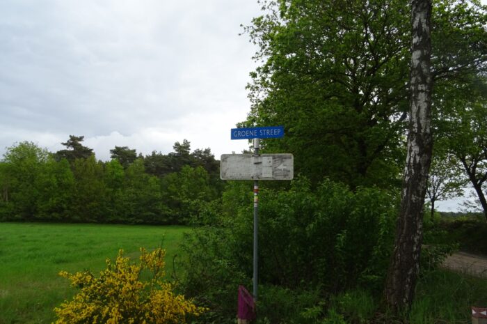 DSC03376